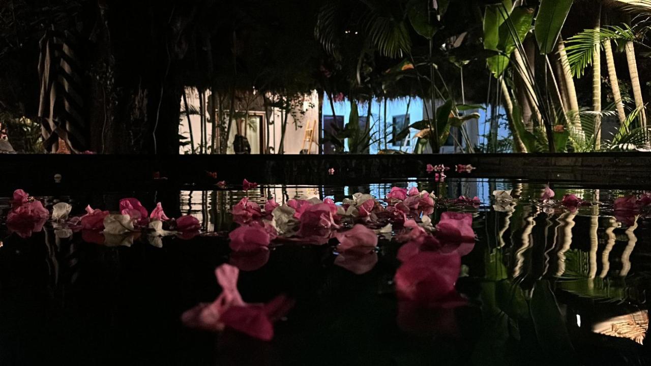 My Secret Guest house