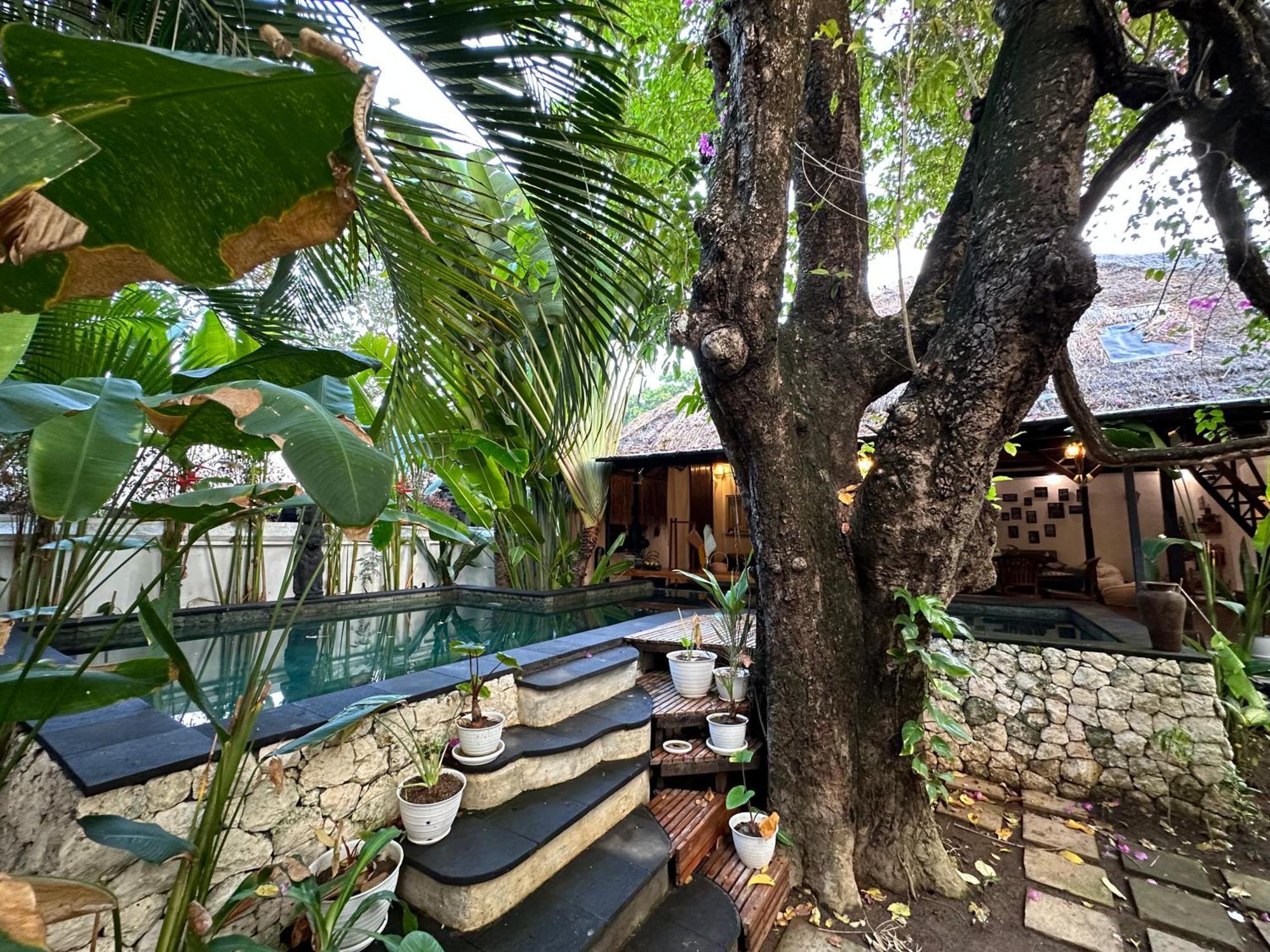 My Secret Guest house Seminyak (Bali)